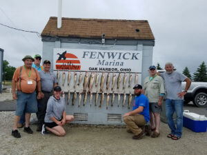 Fenwick Marina veterans fishing trip on Lake Erie - walleye limits